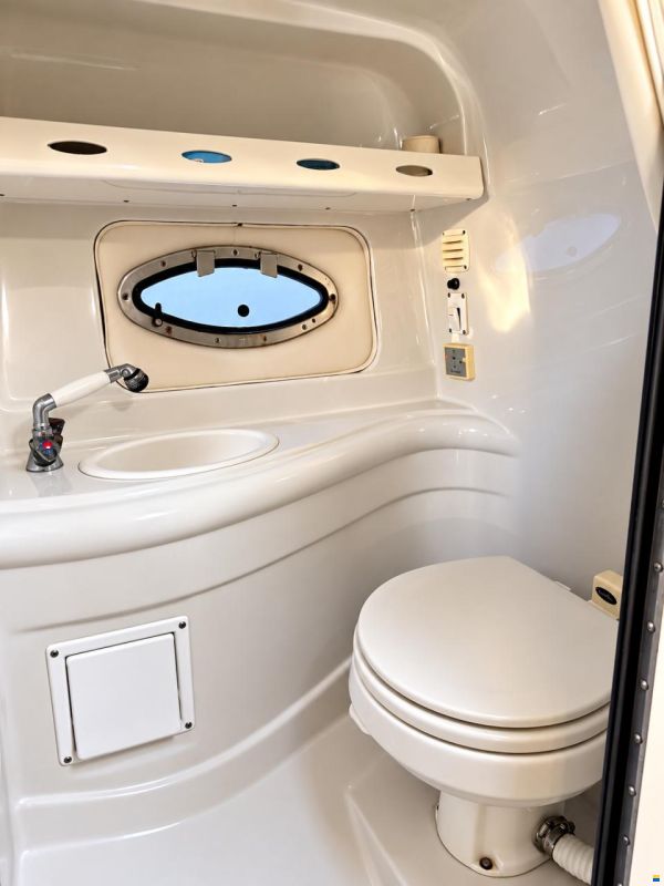 Crownline 275 CCR