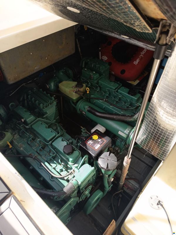 Airon Marine 29.5