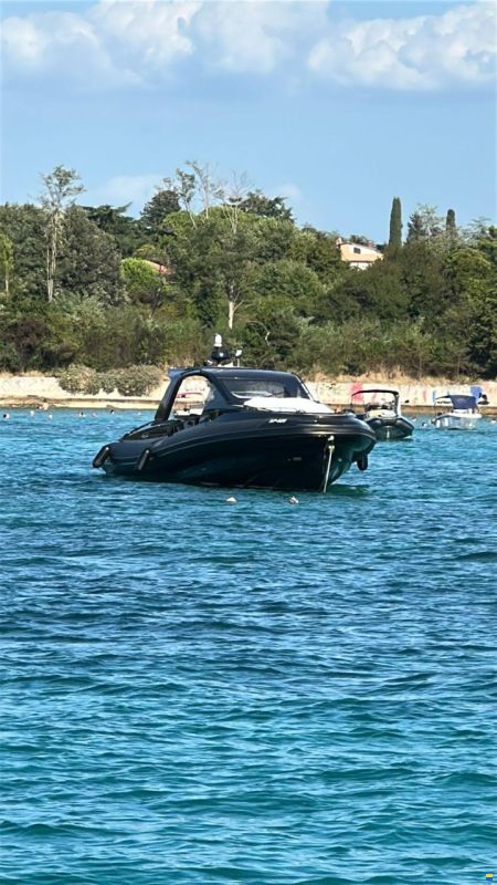 Salpa 52