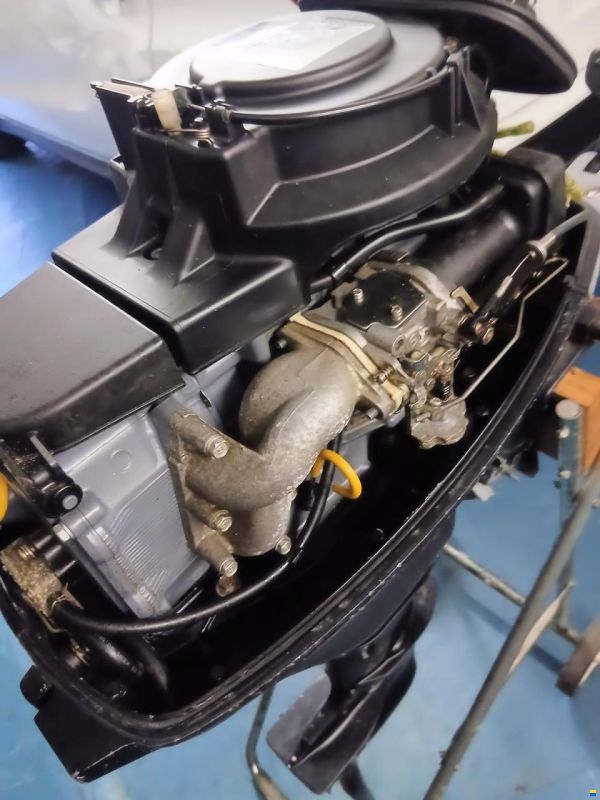 Mercury F15M