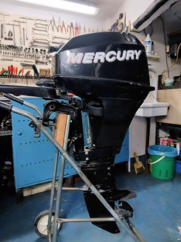 Mercury F15M