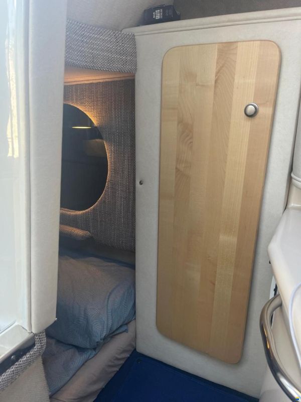 Sea Ray 260 DA Sundancer
