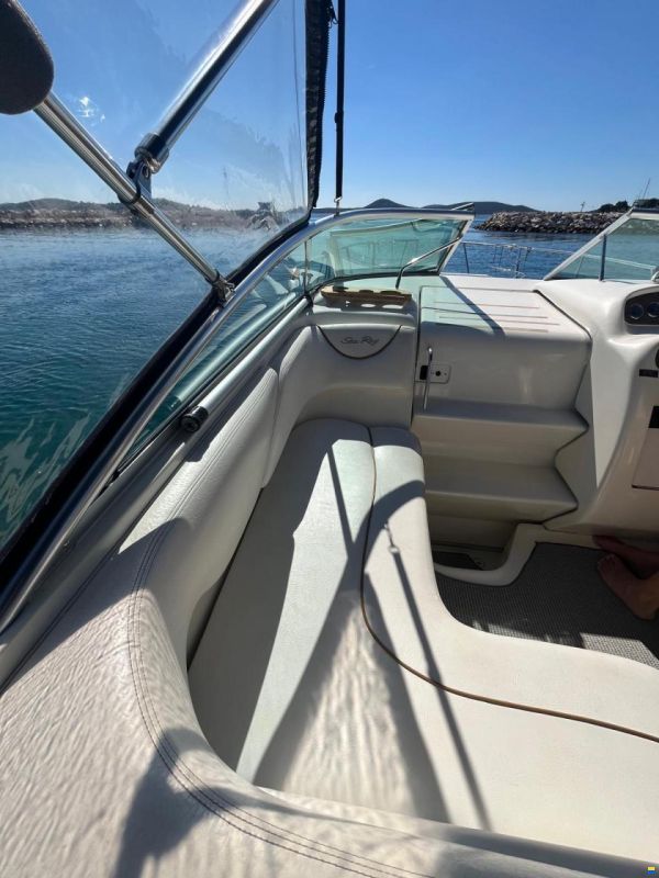 Sea Ray 260 DA Sundancer