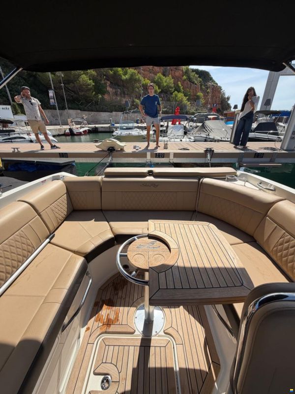 Sea Ray SLX 250