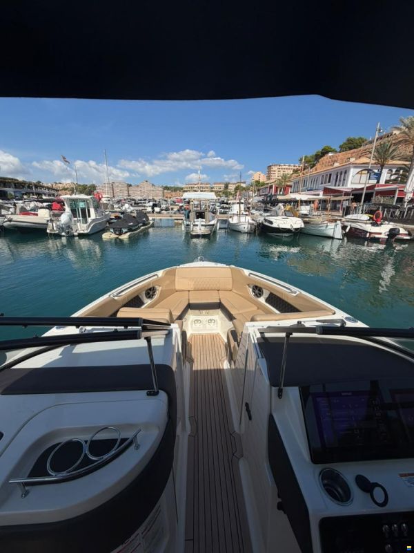 Sea Ray SLX 250