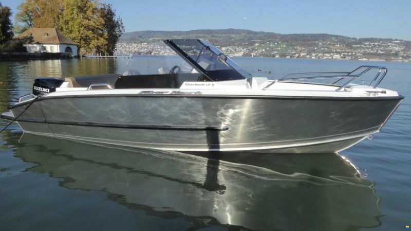 Silver Hawk BR