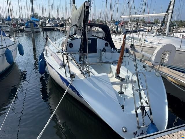 Hunter HB31