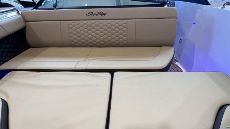 Sea Ray SDX250E & Trailer  (1. Hand)