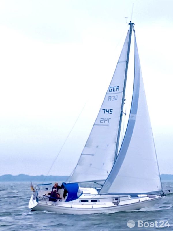 Carter 30