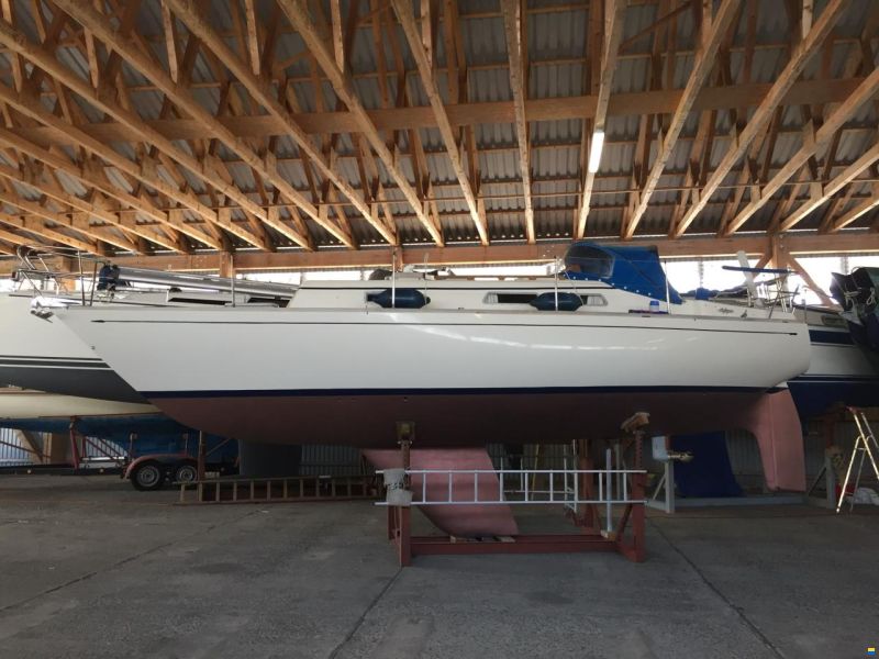 Carter 30