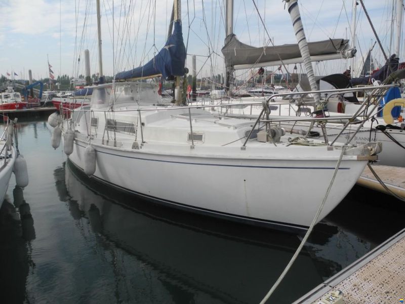 Amel Euros 39