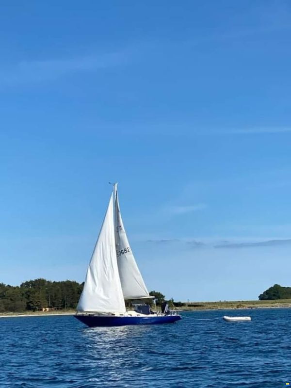 OE Oe36