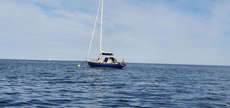 OE Oe36