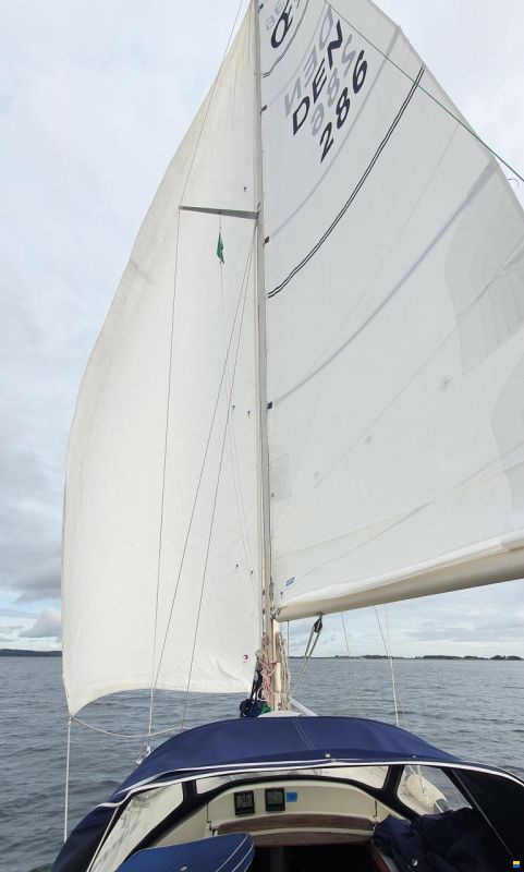 OE Oe36