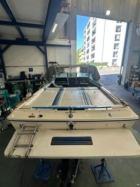 Sea Ray Monaco