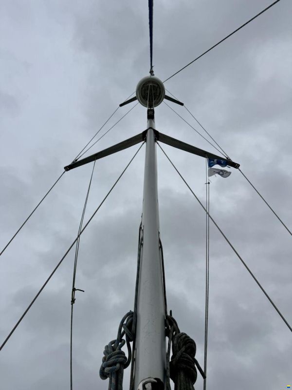 Bavaria 39