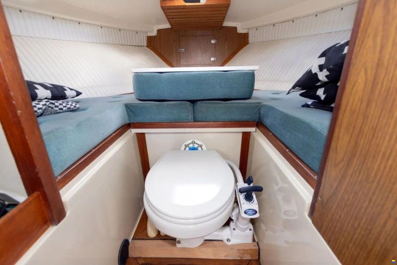 Bertram 26 HT