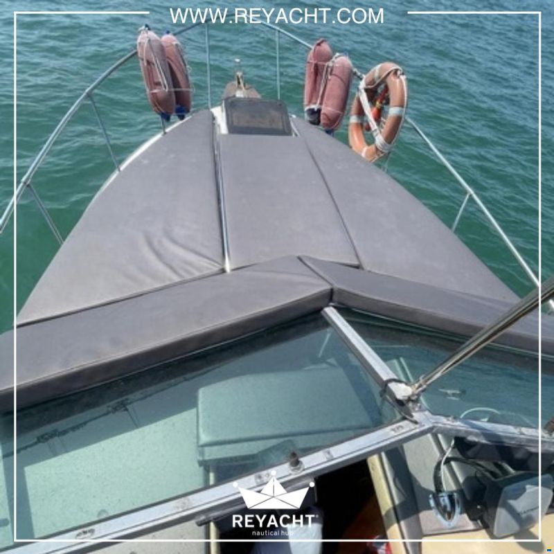 Sea Ray Amberjack 270