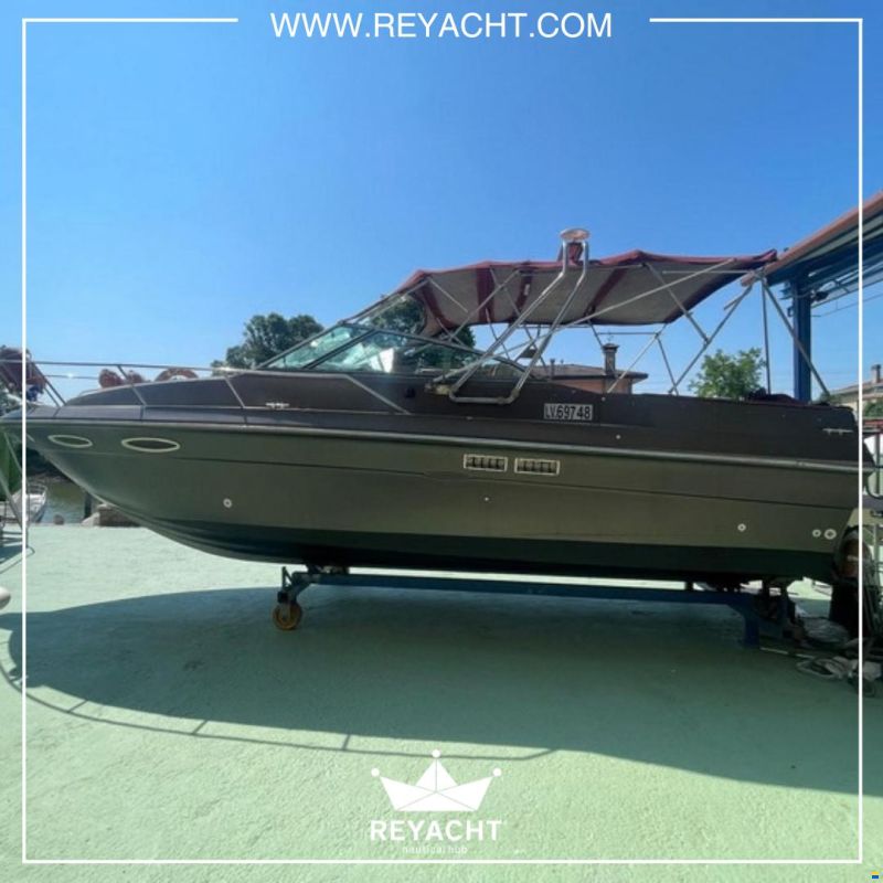Sea Ray Amberjack 270