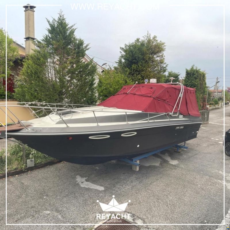 Sea Ray Amberjack 270