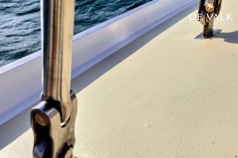 Brown Bluewater 49
