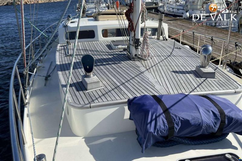 Danish Rose 42