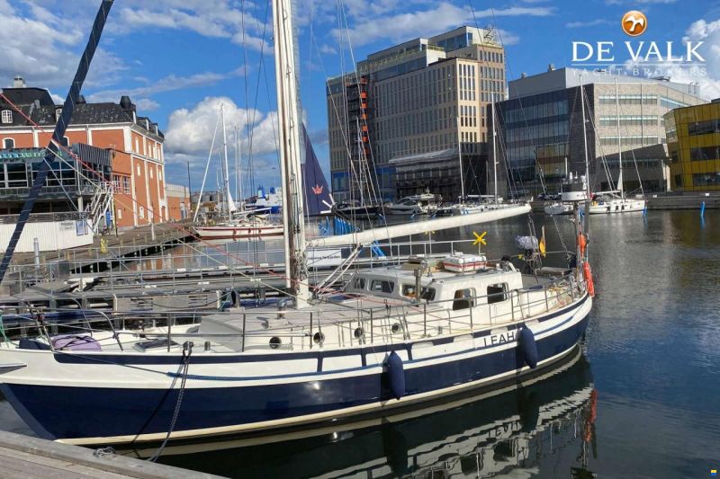 Danish Rose 42