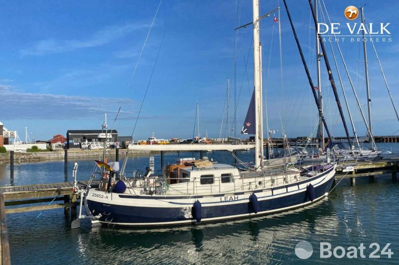 Danish Rose 42