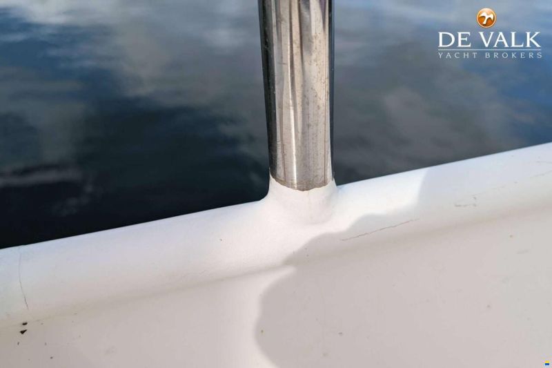 Danish Rose 42