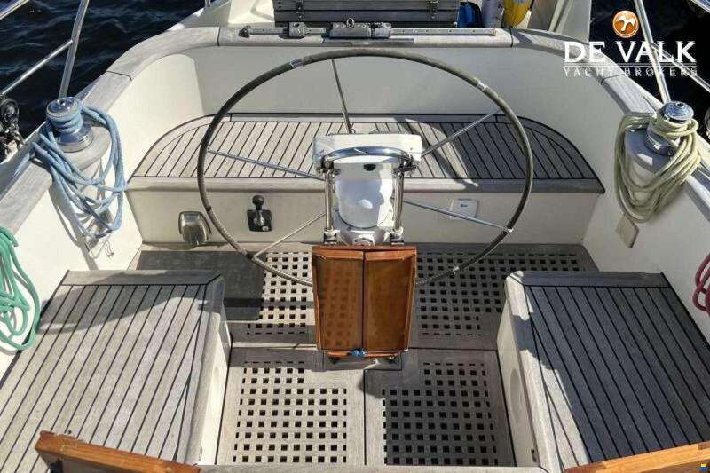 Danish Rose 42