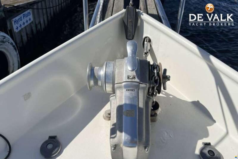 Danish Rose 42