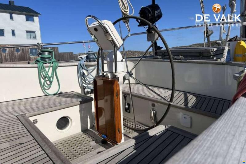 Danish Rose 42
