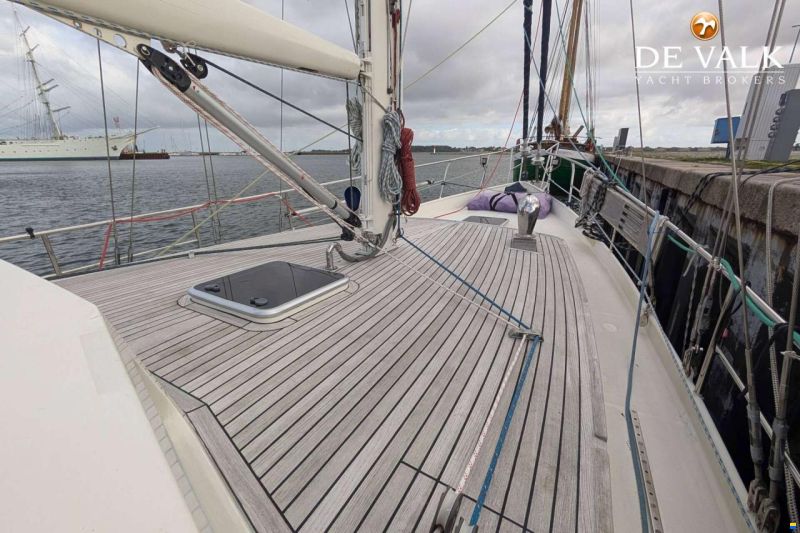 Danish Rose 42