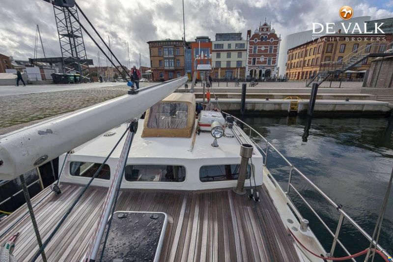 Danish Rose 42