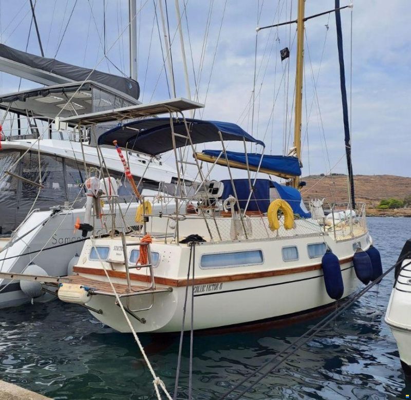 Colvic Victor 41