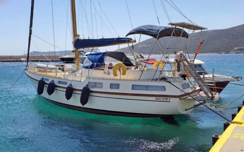 Colvic Victor 41