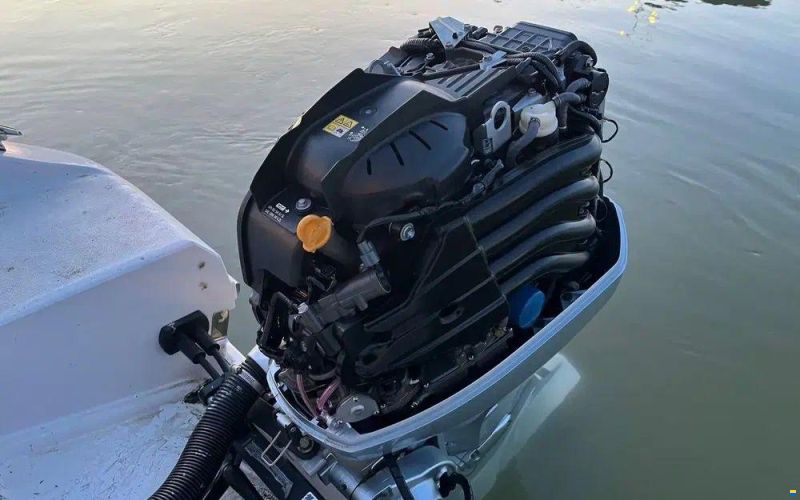 Ranieri Shadow 19