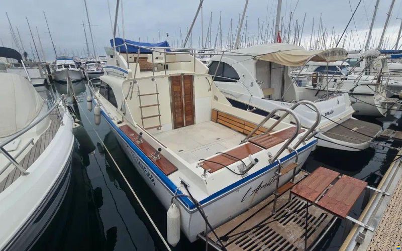 Seabird Condor 29