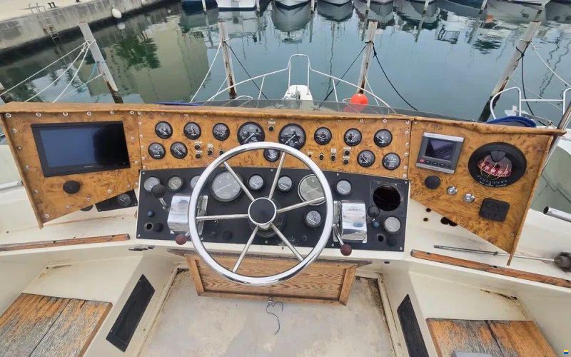 Seabird Condor 29