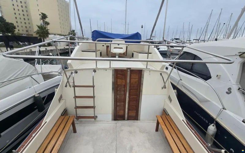 Seabird Condor 29