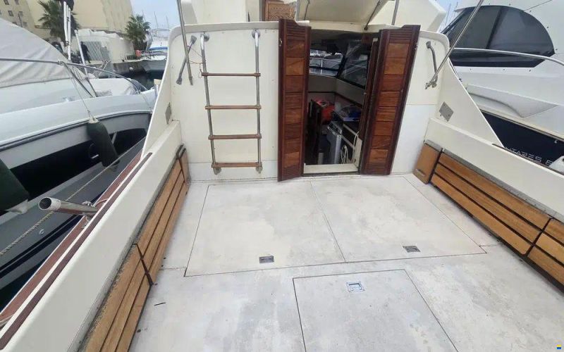 Seabird Condor 29