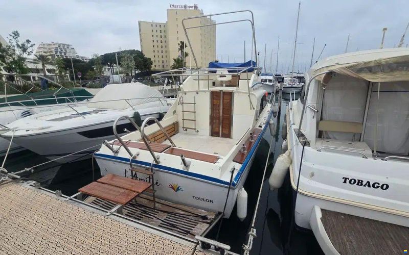 Seabird Condor 29