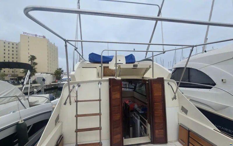 Seabird Condor 29