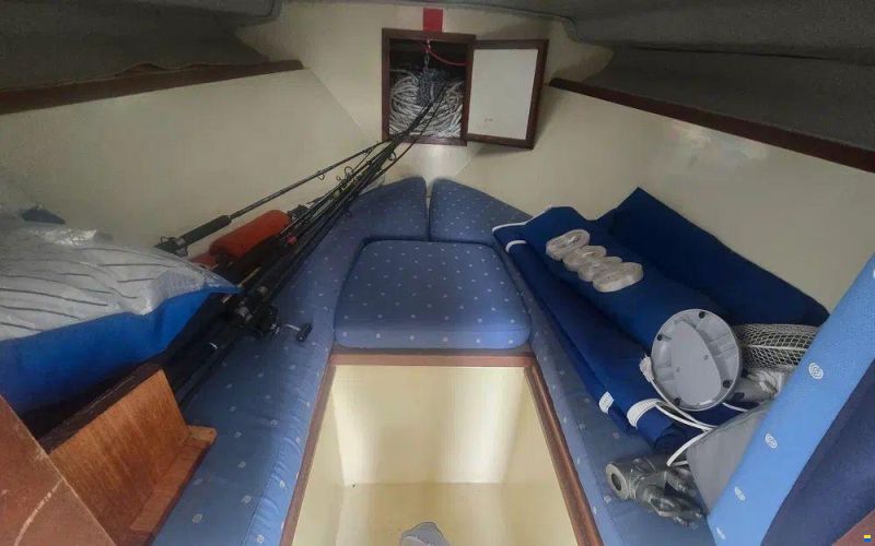 Seabird Condor 29