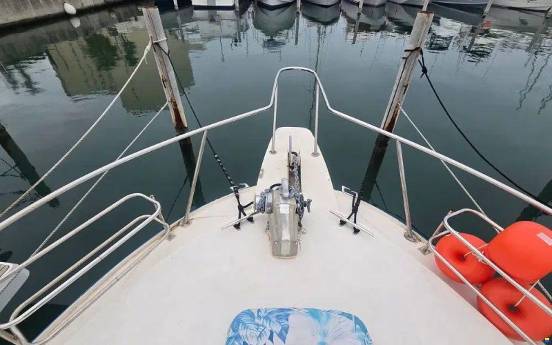 Seabird Condor 29