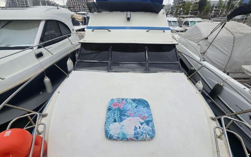 Seabird Condor 29