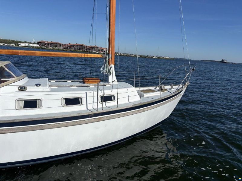 Seadog 30