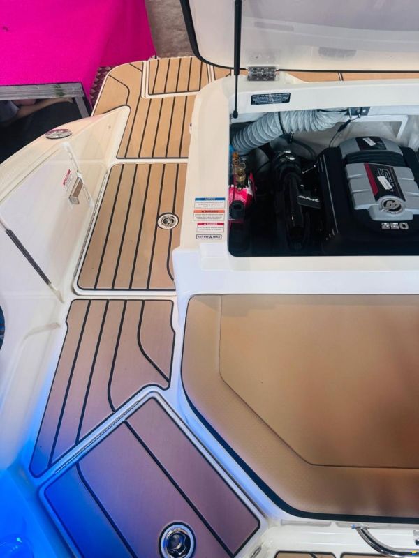Sea Ray 210 SPXE