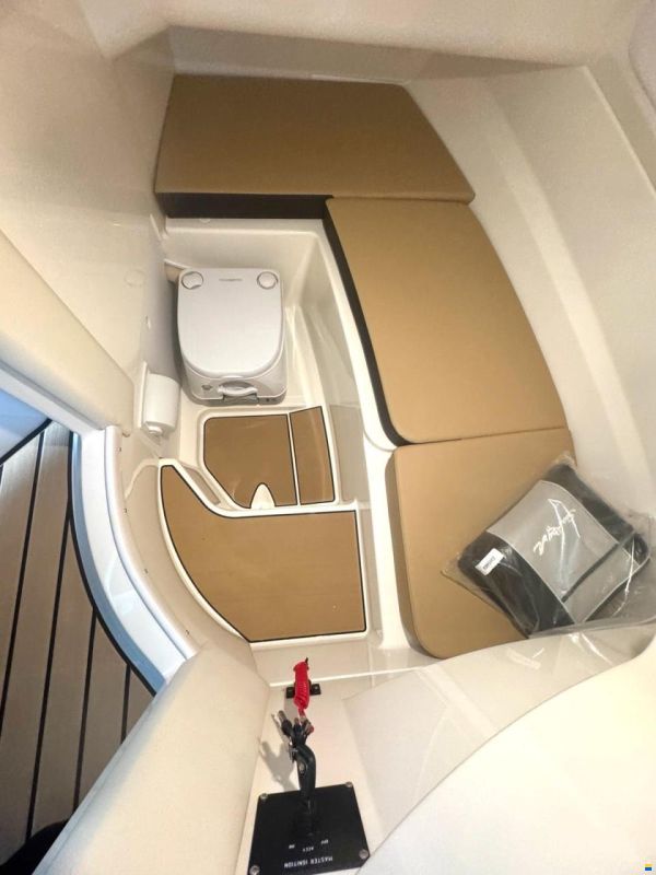 Sea Ray 230 SDN SDX V8