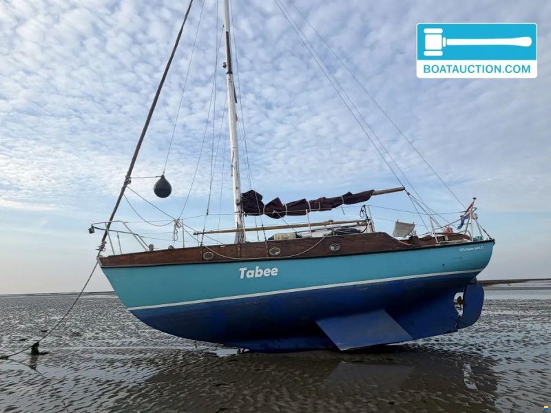 Rossiter Pintail 27